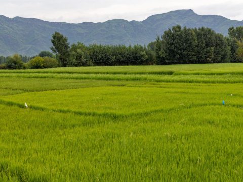 La Unesco designa dos nuevas reservas de la biosfera