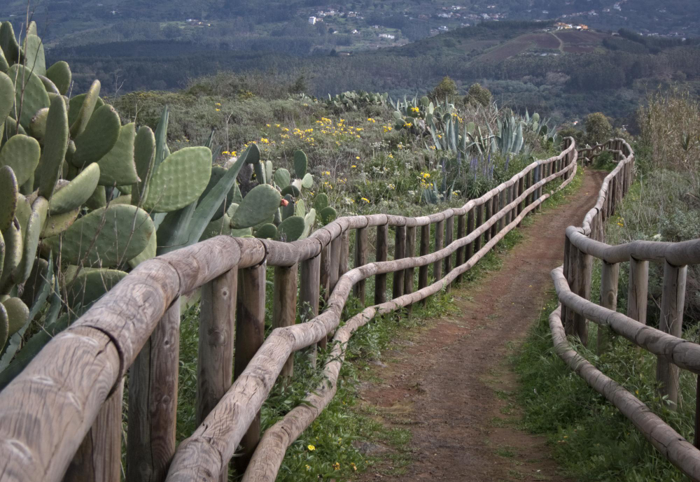 Oaxaca