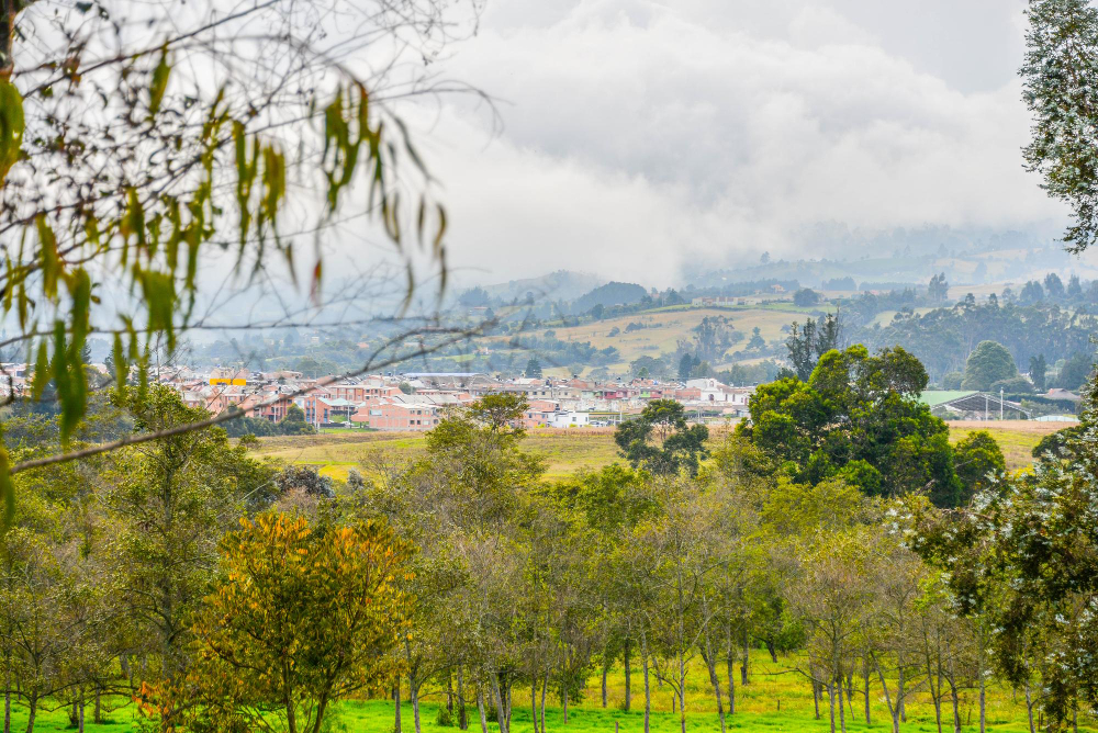 xalapa